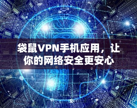 袋鼠VPN手机应用，让你的网络安全更安心