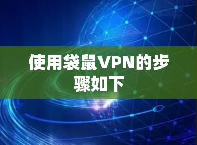 使用袋鼠VPN的步骤如下