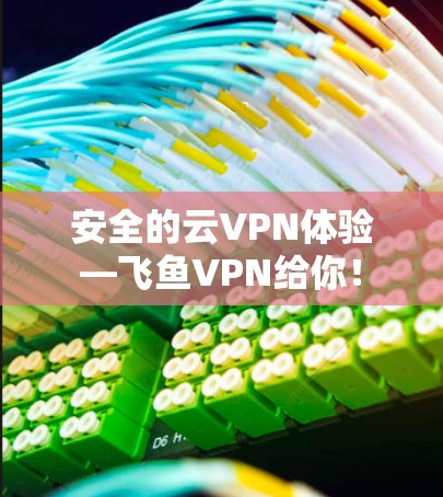 安全的云VPN体验—飞鱼VPN给你！