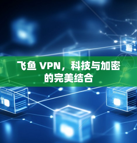 飞鱼 VPN，科技与加密的完美结合
