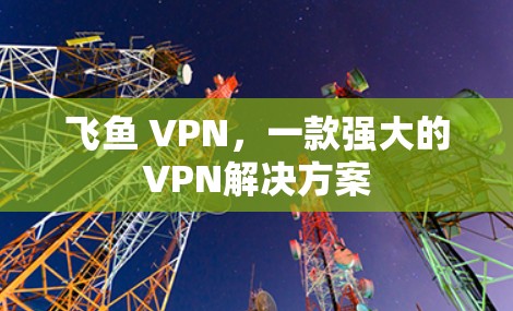 飞鱼 VPN，一款强大的VPN解决方案