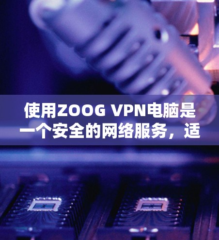使用ZOOG VPN电脑是一个安全的网络服务，适合需要加密传输数据的用户。以下是详细的步骤指南