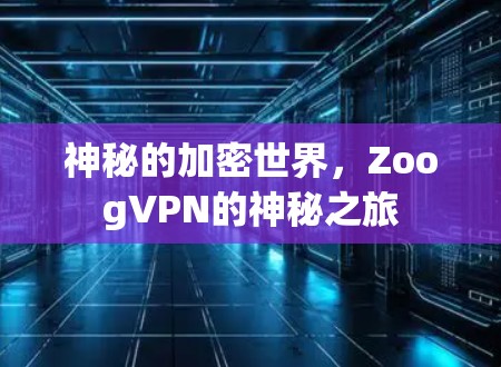 神秘的加密世界，ZoogVPN的神秘之旅