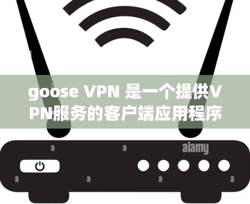 goose VPN 是一个提供VPN服务的客户端应用程序，旨在为用户提供安全、匿名和可靠的网络连接。以下是关于 Goose VPN 的一些关键信息