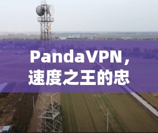PandaVPN，速度之王的忠实模仿者