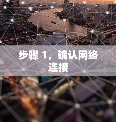 步骤 1，确认网络连接
