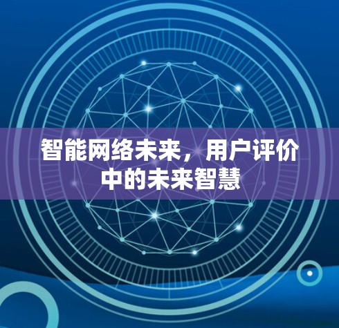 智能网络未来，用户评价中的未来智慧