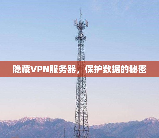 隐藏VPN服务器，保护数据的秘密