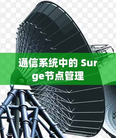 通信系统中的 Surge节点管理