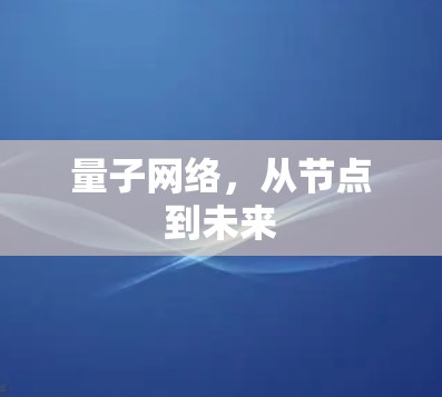 量子网络，从节点到未来