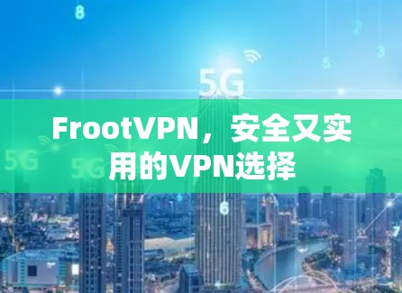 FrootVPN，安全又实用的VPN选择