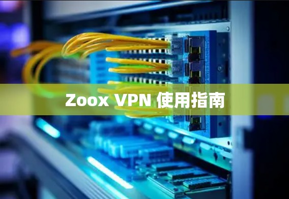 Zoox VPN 使用指南