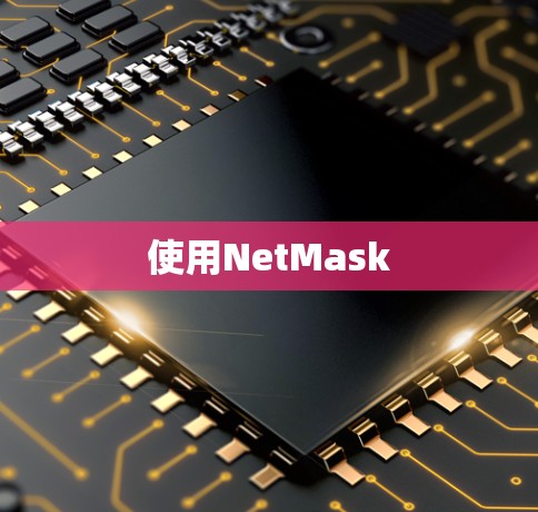 使用NetMask