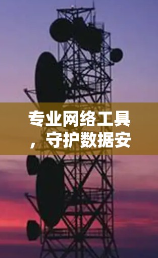 专业网络工具，守护数据安全的守护神
