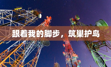 跟着我的脚步，筑巢护鸟