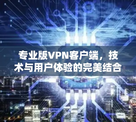 专业版VPN客户端，技术与用户体验的完美结合