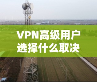 VPN高级用户选择什么取决于他们自己的需求和预算。以下是几个常见的选择
