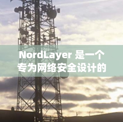NordLayer 是一个专为网络安全设计的工具，旨在管理各种网络安全威胁和防护措施。以下是其主要功能的详细说明