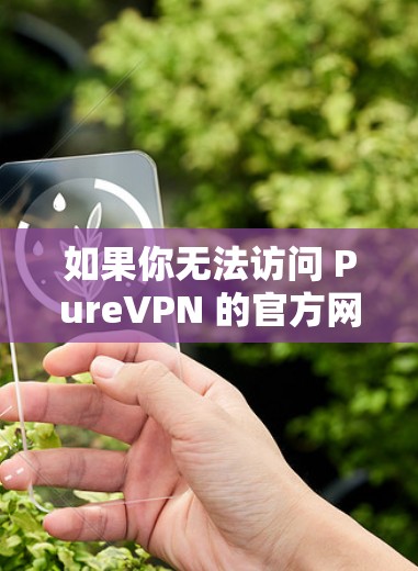 如果你无法访问 PureVPN 的官方网站或下载测试客户端，请确保您的设备和VPN服务器是稳定且连接良好的。如果出现任何问题，请联系 PureVPN 的客服或技术支持以获得进一步的帮助