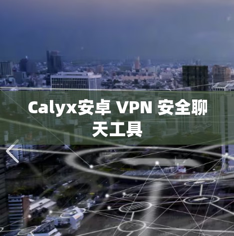 Calyx安卓 VPN 安全聊天工具 Calyx安卓 VPN 安全聊天工具