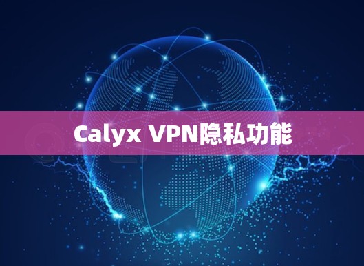 Calyx VPN隐私功能