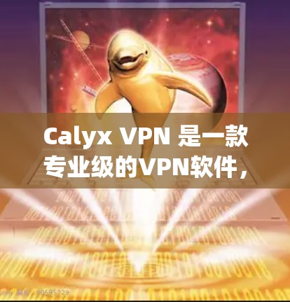 Calyx VPN 是一款专业级的VPN软件，以其快速的网络速度、强大的安全性以及丰富的功能而闻名。以下是对该软件的详细评测